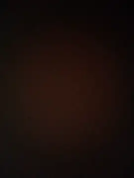 opna43 online show from April 2026 12:02:02 AM