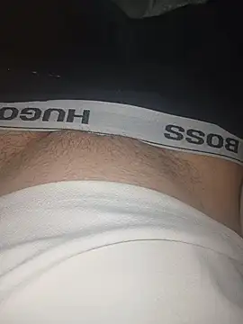 Snapshot of hornyhorny29483 chatting on April 2026 01:38:01 AM hornyhorny29483 online show from April 2026 01:38:01 AM