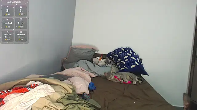 brisazanes online show from November 2025 03:27:01 AM