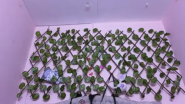 Snapshot of katalinathxandbritney1 chatting on September 2025 05:05:02 PM katalinathxandbritney1 online show from September 2025 05:05:02 PM