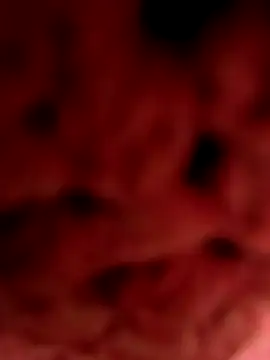 Snapshot of Gusttavotesudoxxvvc chatting on September 2025 07:16:01 PM Gusttavotesudoxxvvc online show from September 2025 07:16:01 PM