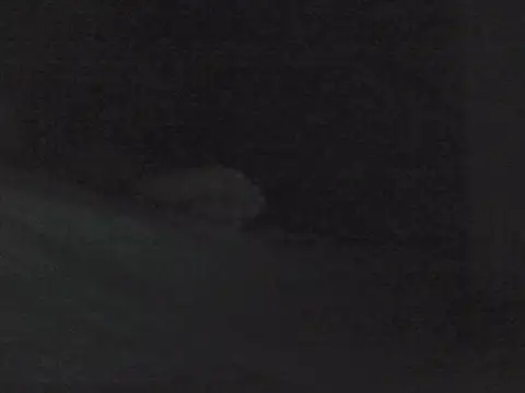 sarahkat86 online show from October 2025 01:01:02 PM