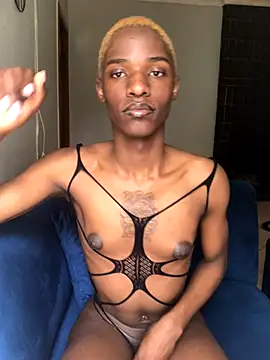 Snapshot of Trans_fairy chatting on September 2025 08:14:02 AM Trans fairy online show from September 2025 08:14:02 AM