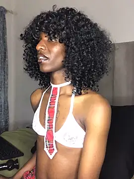 Snapshot of Trans_fairy chatting on September 2025 06:41:02 PM Trans fairy online show from September 2025 06:41:02 PM