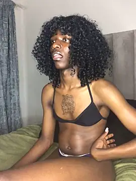 Snapshot of Trans_fairy chatting on September 2025 07:27:02 PM Trans fairy online show from September 2025 07:27:02 PM