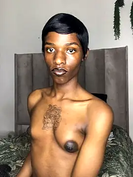 Snapshot of Trans_fairy chatting on September 2025 07:19:02 PM Trans fairy online show from September 2025 07:19:02 PM