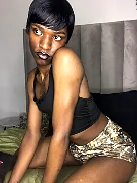 Snapshot of Trans_fairy chatting on September 2025 05:29:02 PM Trans fairy online show from September 2025 05:29:02 PM