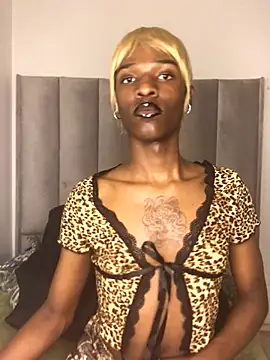 Snapshot of Trans_fairy chatting on October 2025 07:30:02 PM Trans fairy online show from October 2025 07:30:02 PM