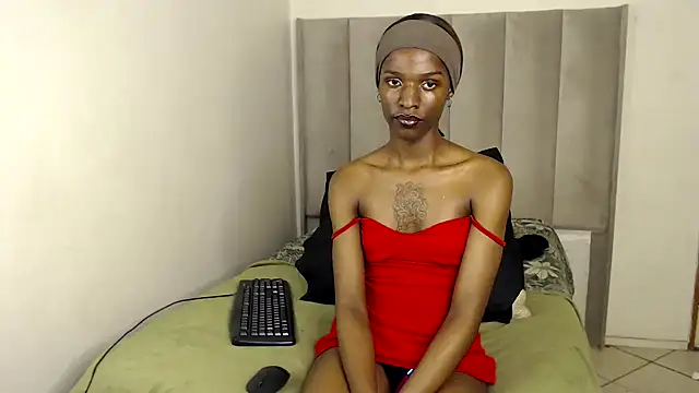 Snapshot of Trans_fairy chatting on November 2025 05:26:01 PM Trans fairy online show from November 2025 05:26:01 PM