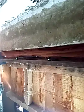 Snapshot of Catire10_ chatting on September 2025 09:19:02 PM Catire10 online show from September 2025 09:19:02 PM