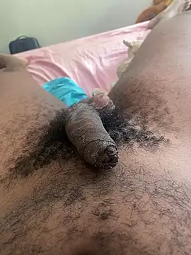 blackboy 51100 online show from July 2026 02:08:02 PM