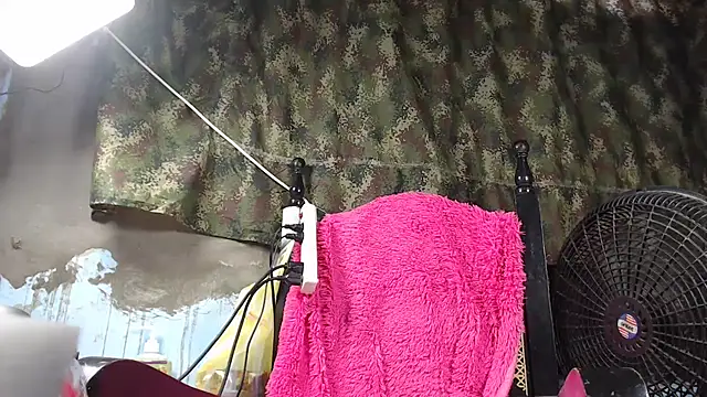 maggi hotsson online show from January 2026 10:13:02 PM