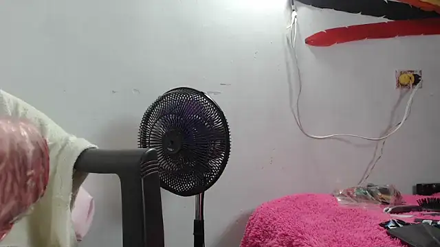 maggi hotsson online show from March 2026 06:28:02 AM