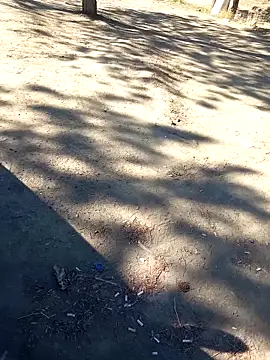 Snapshot of bullut06 chatting on September 2025 06:38:01 AM bullut06 online show from September 2025 06:38:01 AM