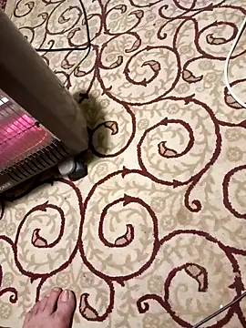 Snapshot of bullut06 chatting on April 2026 05:46:02 PM bullut06 online show from April 2026 05:46:02 PM