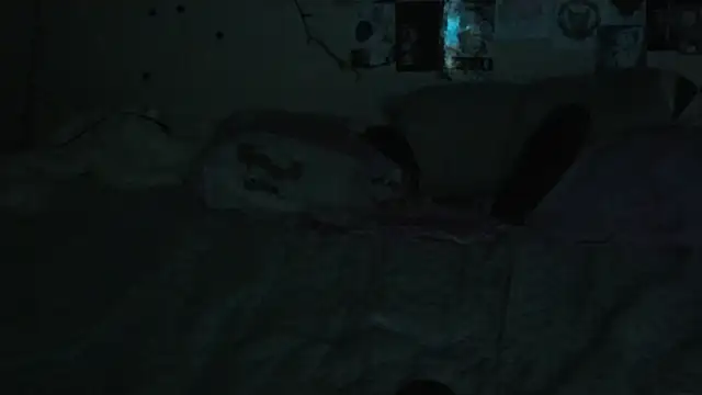 FairyFennec online show from October 2025 01:58:02 AM