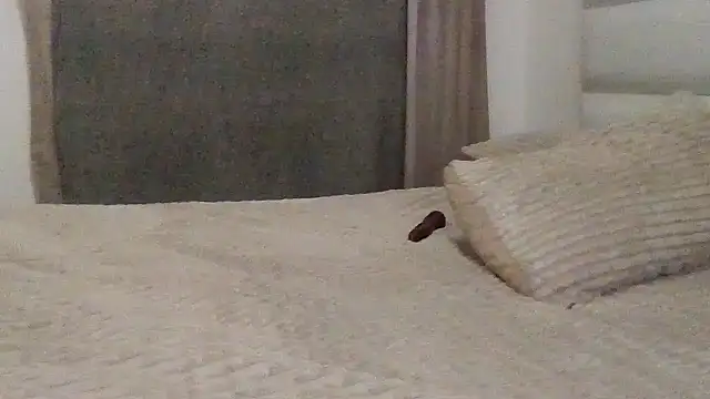 Snapshot of SexyNonnyy chatting on October 2025 06:40:02 PM SexyNonnyy online show from October 2025 06:40:02 PM