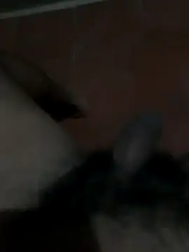 Snapshot of PhlegmySewerage chatting on October 2025 01:16:02 AM PhlegmySewerage online show from October 2025 01:16:02 AM