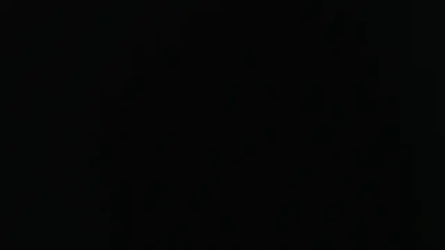 Snapshot of sensualduo chatting on February 2025 05:35:01 AM sensualduo online show from February 2025 05:35:01 AM