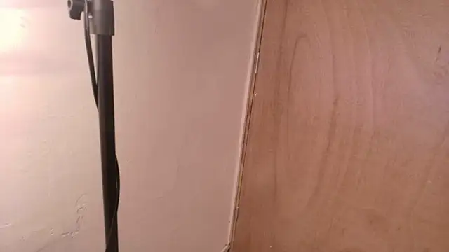 Terraelowen online show from March 2026 11:16:02 AM