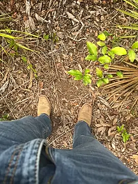 HorneyCowboy154 online show from April 2026 08:11:02 PM