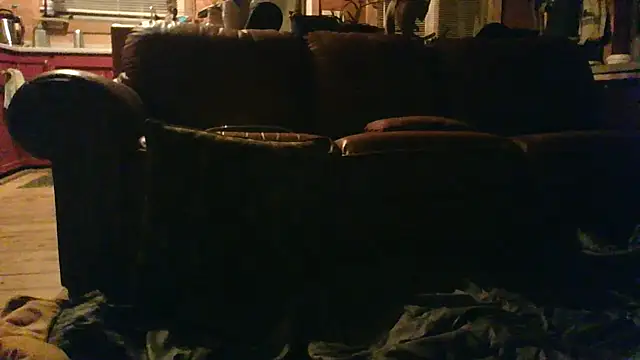 Snapshot of sensi-switch chatting on April 2026 12:37:02 AM sensi-switch online show from April 2026 12:37:02 AM