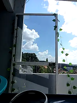 indiazinhabella27 online show from October 2025 04:11:01 PM