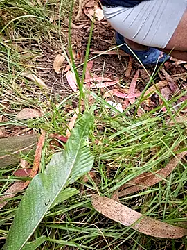 maxvergo online show from April 2026 09:37:02 PM