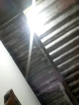 Madison 1 online show from November 2025 04:13:02 AM