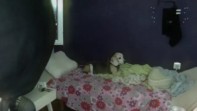 Snapshot of turkishTransEfsun chatting on September 2025 01:11:02 PM turkishTransEfsun online show from September 2025 01:11:02 PM