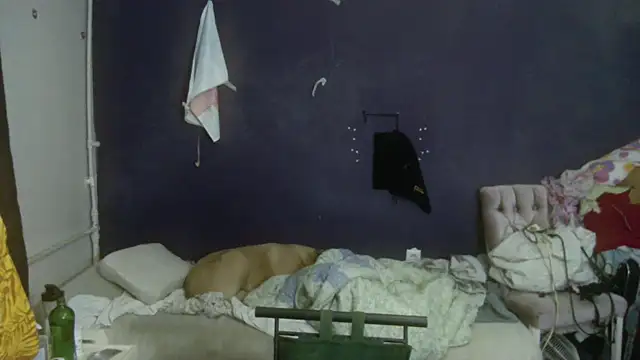 turkishTransEfsun online show from March 2026 12:42:01 PM