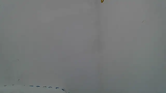 Snapshot of Kevintdx chatting on April 2026 02:05:02 AM Kevintdx online show from April 2026 02:05:02 AM