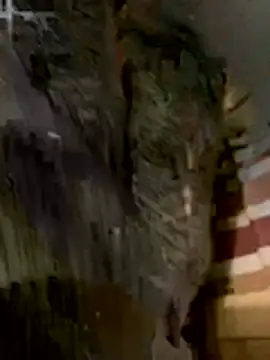 Snapshot of anhye8 chatting on February 2026 03:37:02 PM anhye8 online show from February 2026 03:37:02 PM