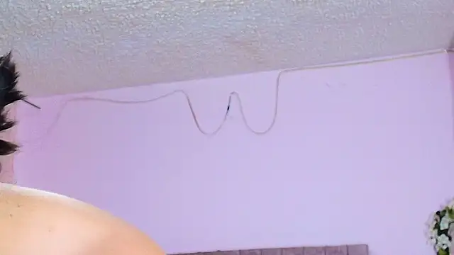 MiSofialeal online show from February 2026 05:50:01 PM