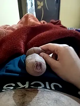 Snapshot of xerxusi chatting on November 2025 06:54:01 PM xerxusi online show from November 2025 06:54:01 PM