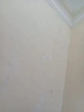 Snapshot of Sondosa3 chatting on October 2025 09:02:01 PM Sondosa3 online show from October 2025 09:02:01 PM