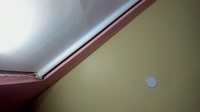 StarletTays online show from November 2025 09:50:01 PM