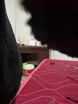 Snapshot of crhong666 chatting on December 2025 12:26:02 AM crhong666 online show from December 2025 12:26:02 AM