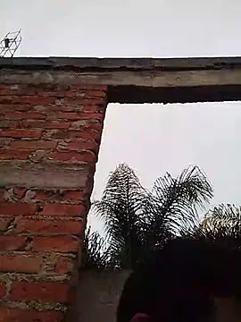 TragicAirplane168 online show from December 2025 11:31:01 PM