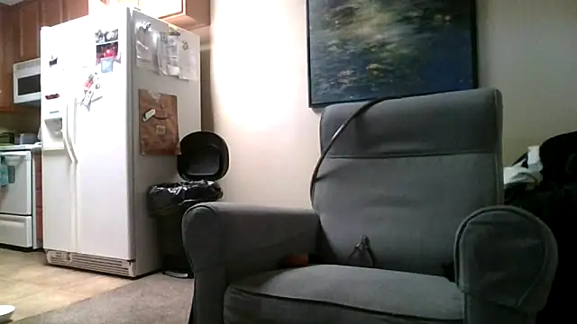 Snapshot of LeeCox chatting on February 2025 06:31:02 PM LeeCox online show from February 2025 06:31:02 PM