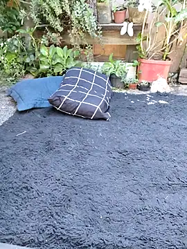 bad wolf28 online show from November 2025 12:16:02 PM