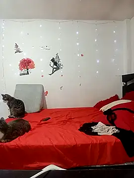 Lady 16 online show from February 2026 01:57:02 AM