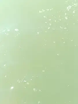 pegaso369 online show from September 2025 01:05:02 PM