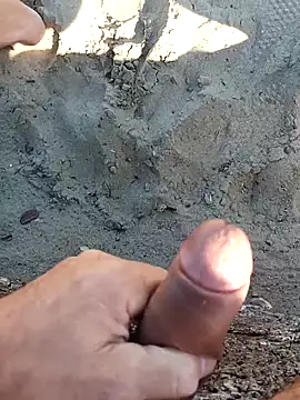 pegaso369 online show from October 2025 12:41:02 PM