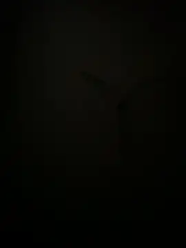 Snapshot of succy33 chatting on October 2025 04:59:01 PM succy33 online show from October 2025 04:59:01 PM