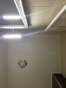 Lexi Storm online show from March 2026 06:14:01 AM