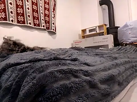 HoneySquirrel online show from October 2025 05:23:02 PM