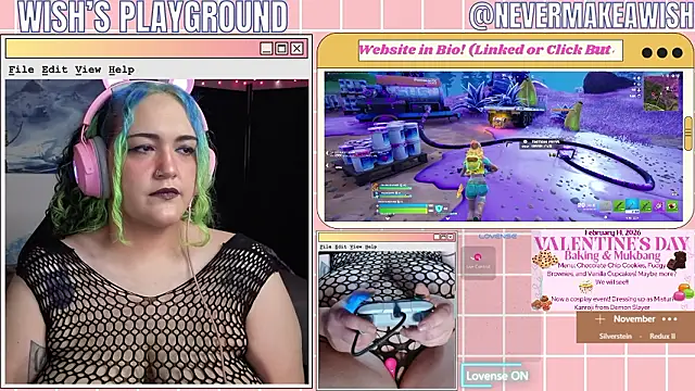 Snapshot of nevermakeawish chatting on February 2026 04:02:01 PM nevermakeawish online show from February 2026 04:02:01 PM