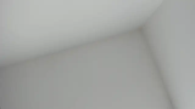 VioletRose as online show from November 2025 08:36:02 PM