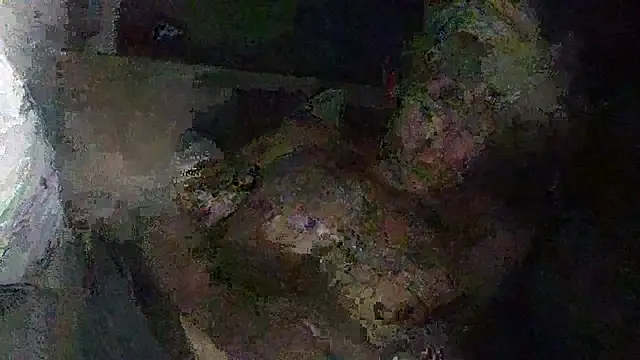 Snapshot of IsAparty chatting on October 2025 05:28:01 AM IsAparty online show from October 2025 05:28:01 AM